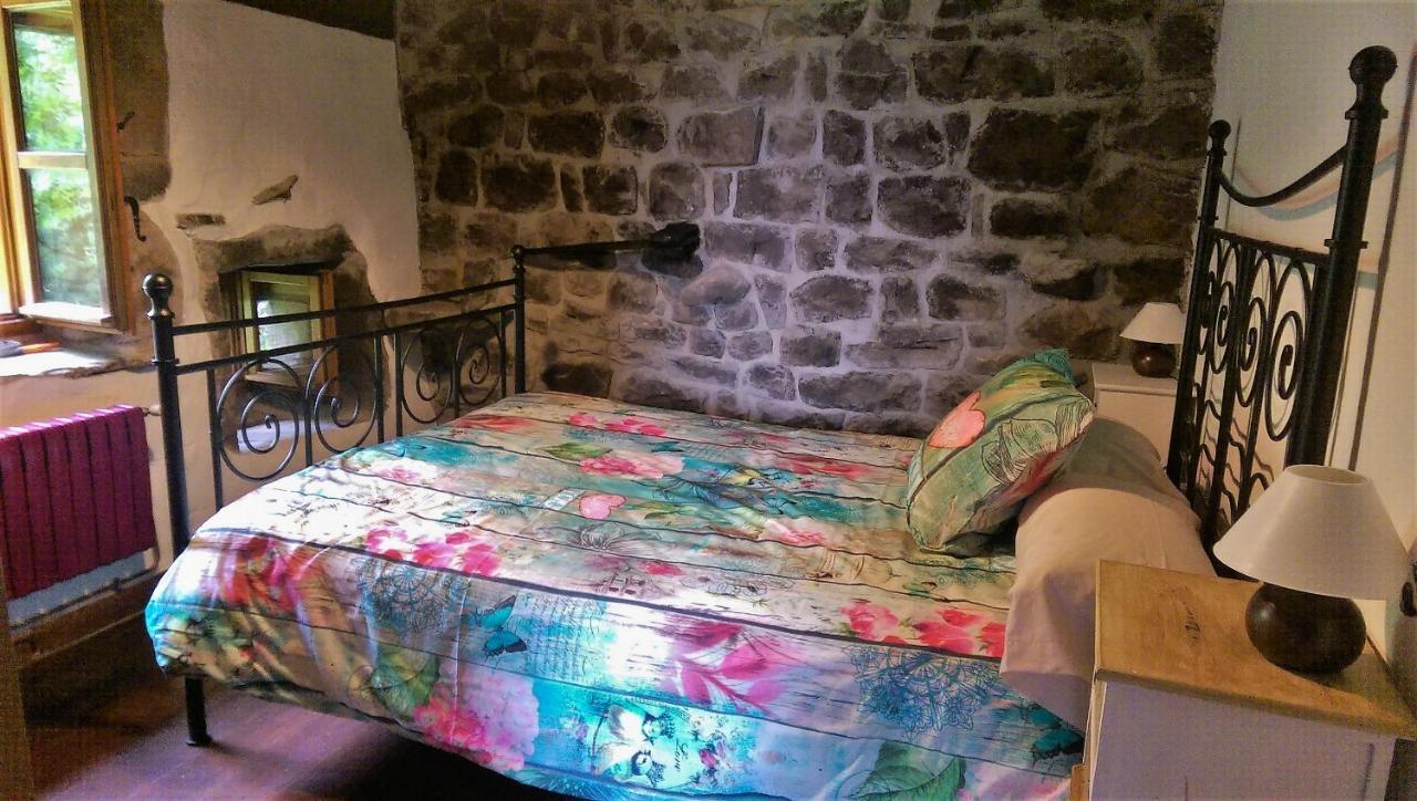 Pidream Cottage . Cabanas De Pisuena Selaya Dış mekan fotoğraf